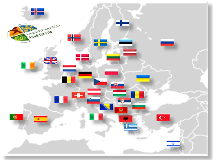 Δίκτυο Εθνικών ΤΠ